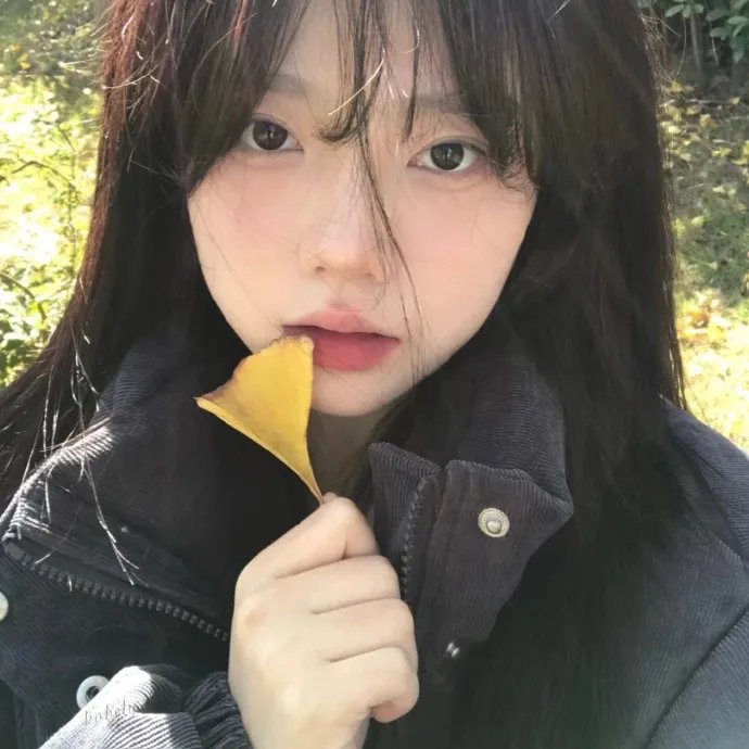 龙公主的冒险