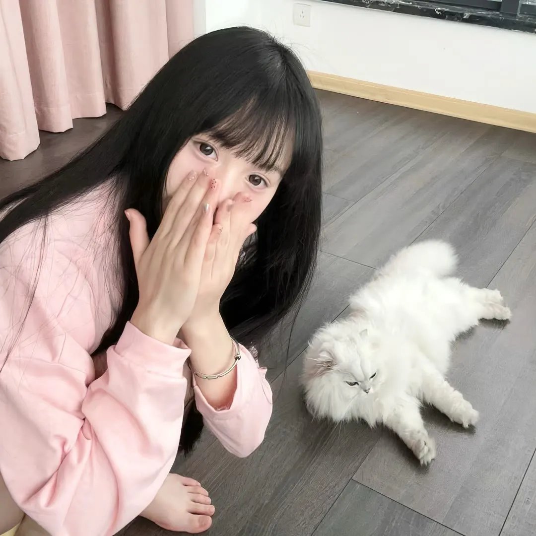 鱼与猫